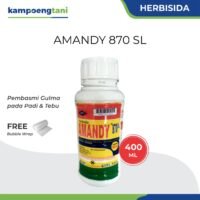 Amandy 870 SL 400ml Herbisida Sistemik Obat Rumput Pembasmi Gulma pada Padi dan Tebu