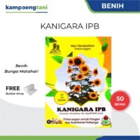 Benih Bibit Bunga Matahari Kanigara IPB isi 50 Biji