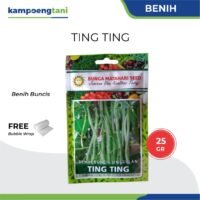 Benih Buncis Ting Ting 25 gram Bibit Buncis Bunga Matahari Seed