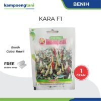Benih Cabai Rawit Kara F1 1 gram Bibit Cabe Rawit Putih Bintang Asia