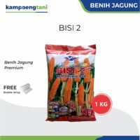 Benih Jagung Bisi 2 1 kg Bibit Jagung Bertongkol 2 Original Cap Kapal Terbang