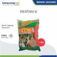 Benih Jagung Hibrida F1 Pertiwi 6 1 kg Bibit Jagung Tahan Bulai