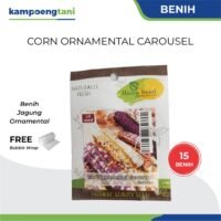 Benih Jagung Ornamental Carousel Haira Seed isi 15 Butir