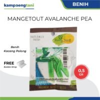 Benih Kacang Kapri Mangetout Avalanche Pea Haira Seed 0,5 gram