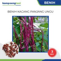 Benih Kacang Panjang Ungu / Merah isi 3 Biji Bibit Sayuran Siap Tanam