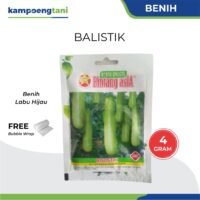 Benih Labu Air Balistik 4 gram Bibit Labu Hijau Bintang Asia