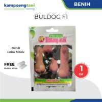 Benih Labu Madu Buldog F1 1 gram Bibit Cap Bintang Asia