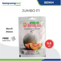 Benih Melon Jumbo F1 0,5 gram Bibit Melon Rock Bintang Asia