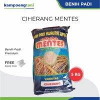 Benih Padi Ciherang Mentes 5 kg Bibit Padi Premium