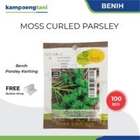 Benih Parsley Keriting Moss Curled Parsley Haira Seed isi 100 Biji