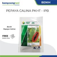 Benih Pepaya Calina PKHT-IPB isi 250 butir Bibit Pepaya California