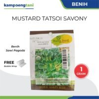 Benih Sawi Pagoda Mustard Tatsoi Savony Haira Seed 1 gram