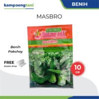 Benih Sawi Pakcoy Masbro 10 gram Bibit Pakcoy Bintang Asia