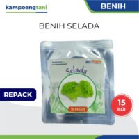 Benih Selada isi 15 Biji Bibit Selada Keriting Hijau