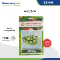 Benih Terong Arena isi 1000 Butir Bibit Terong Bulat Hijau Cap Bunga Matahari Seed