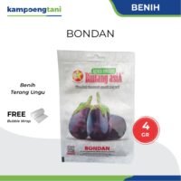Benih Terong Bondan 4 gram Bibit Terong Ungu Cap Bintang Asia