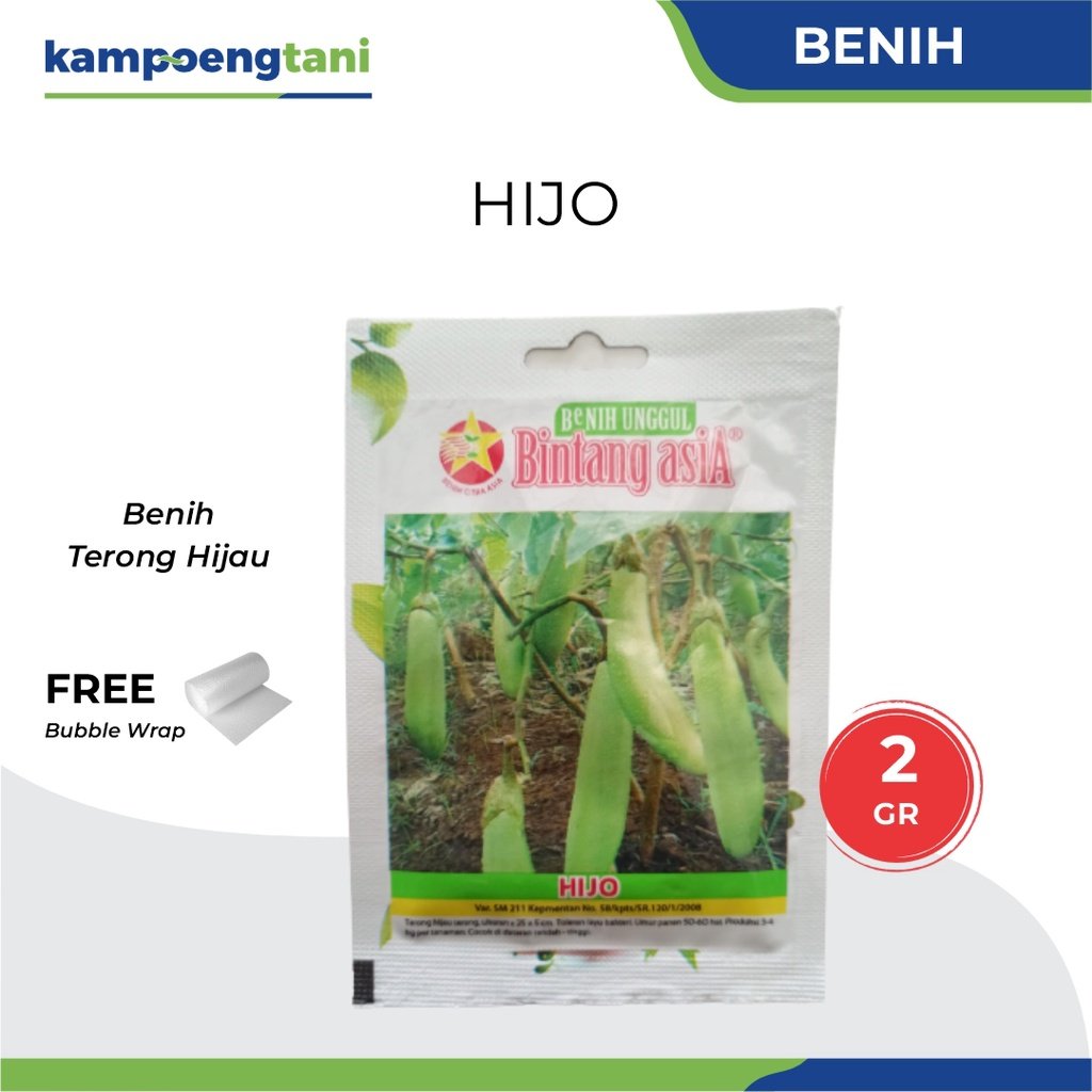 Benih Terong Hijau Hijo 2 gram Bibit Terong Bintang Asia