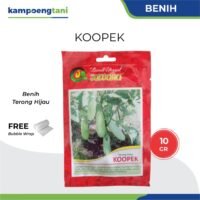 Benih Terong Hijau Kopek 10 gram BIbit Terong Koopek Benih Unggul Jawara