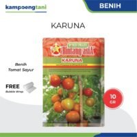 Benih Tomat Karuna 10 gram Bibit Tomat Sayur Cap Bintang Asia