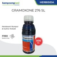 Gramoxone 276 SL 500ml Herbisida Obat Pembasmi Gulma dan Rumput Liar Syngenta