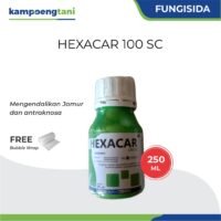 Hexacar 100 SC 250ml Fungisida Sistemik Obat Pembasmi Penyakit Antraknosa Cabai