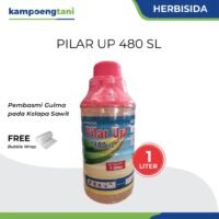 Pilar Up 480 SL 1 Liter Herbisida Sistemik Obat Alang Alang Pembasmi Gulma Rumput