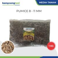 Pumice Stone Batu Apung Kerikil Ukuran 8 - 11 mm 1 kg Media Tanam Kaktus dan Sukulen