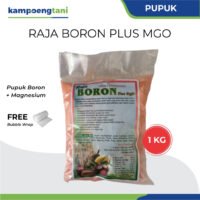 Pupuk Raja Boron Plus Magnesium MgO 1 kg Micro Fertilizer Anti Rontok Bunga dan Buah