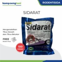 Racun Tikus Sidarat 100 gram Rodentisida Antikoagulan Pembasmi Tikus Ampuh