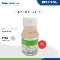 Topshot 60 OD Herbisida Sistemik Obat Rumput Pembasmi Gulma pada Padi Sawah