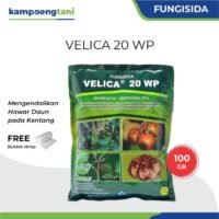 Velica 20WP 100 gram Simoksanil Fungisida Protektif Kuratif Obat Hawar Daun Kentang