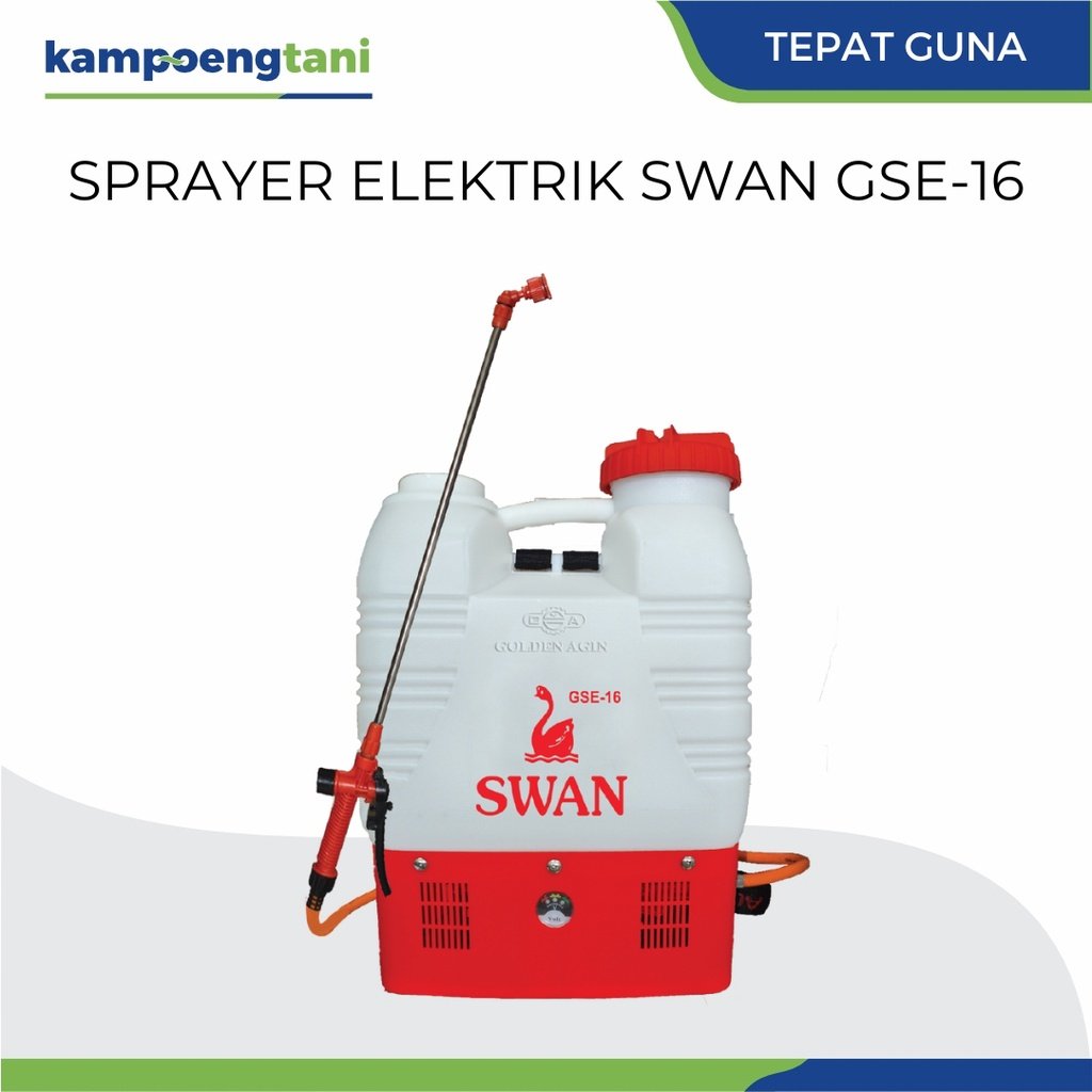 16 SWAN