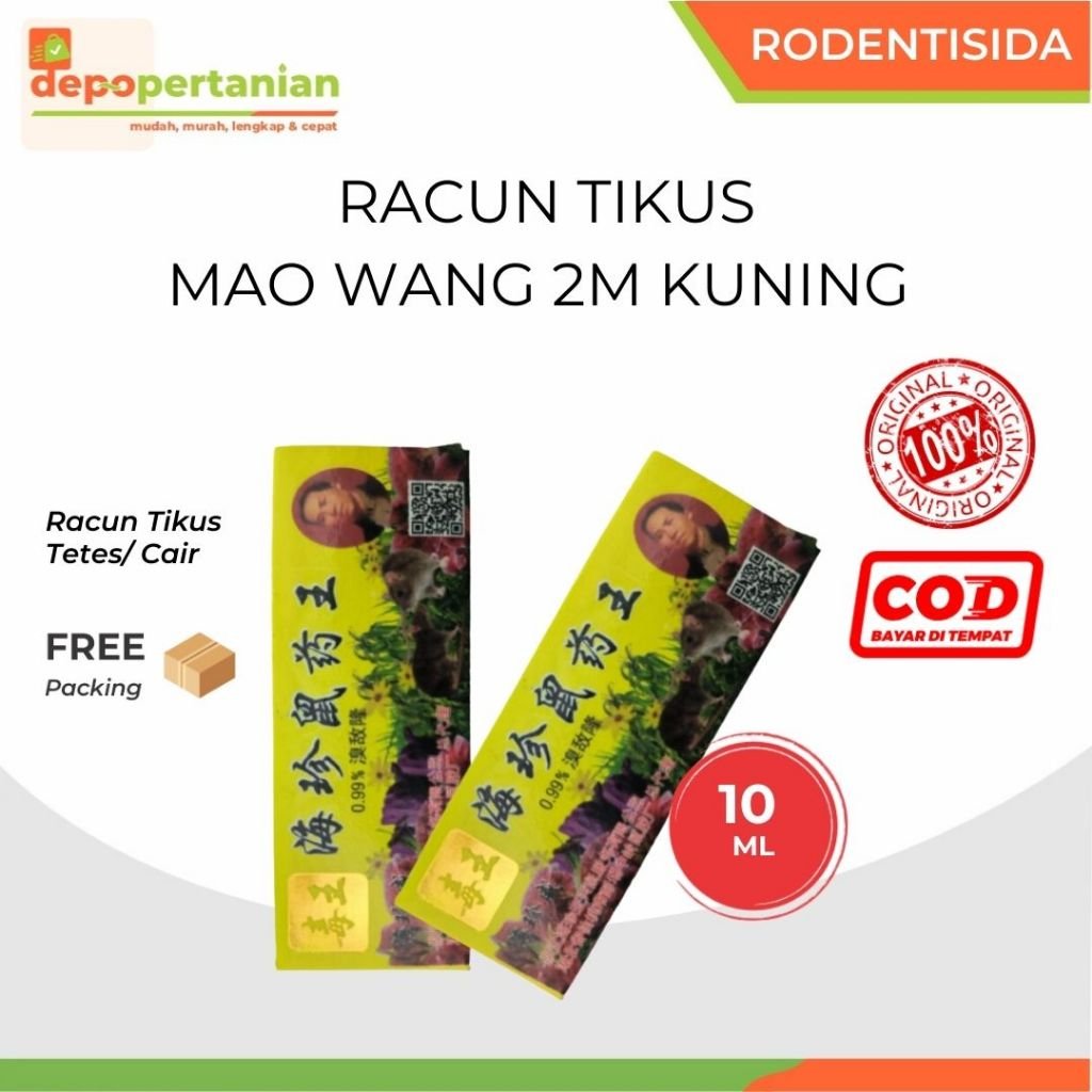 2m racun tikus