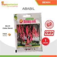 Benih Cabai Besar Ababil 1 gram Bibit Cabe Cap Bintang Asia