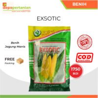 Benih Jagung Manis Exsotic Pertiwi 250 gram (1.750 Biji)