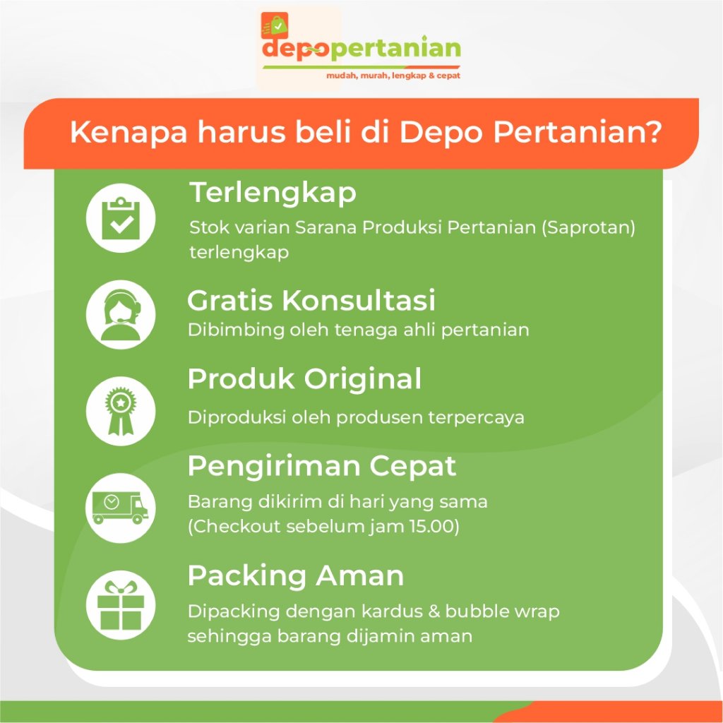 id-11134207-7r98s-ls9atfphcsql8f