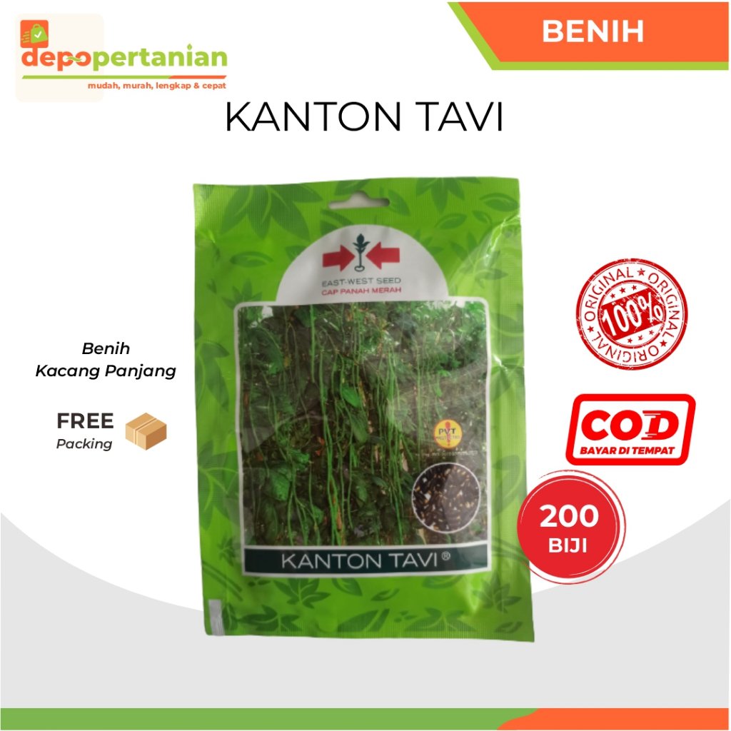 kacang