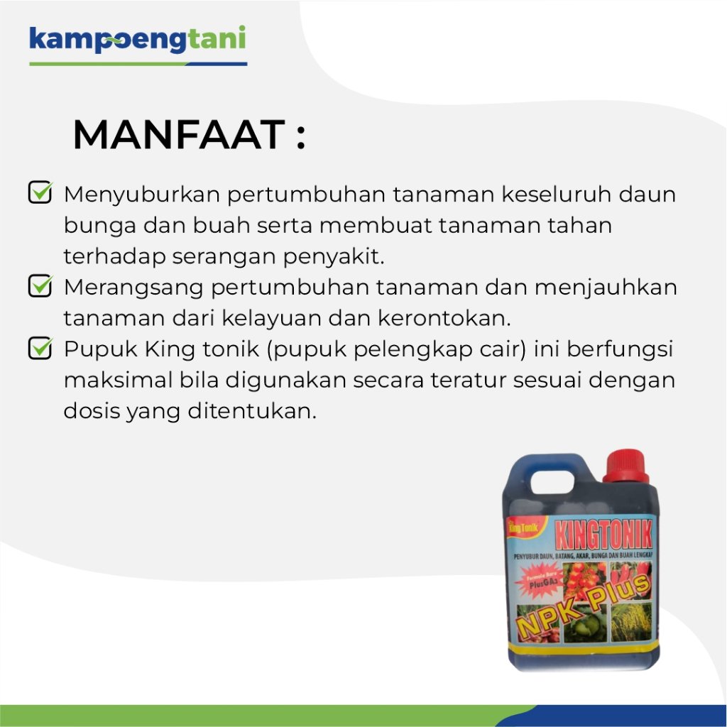 kintonik2