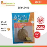 Benih Melon Brajan Tavi Hibrida F1 Tunas Agro 15 gram (isi 550 Biji)