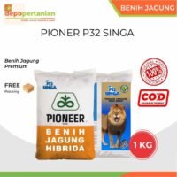 Benih Jagung Pioneer P32 Singa 1 Kg