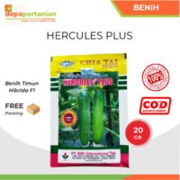 Benih Timun Hercules Plus 20 gram Benih Timun Hibrida F1 BISI Cap Kapal Terbang